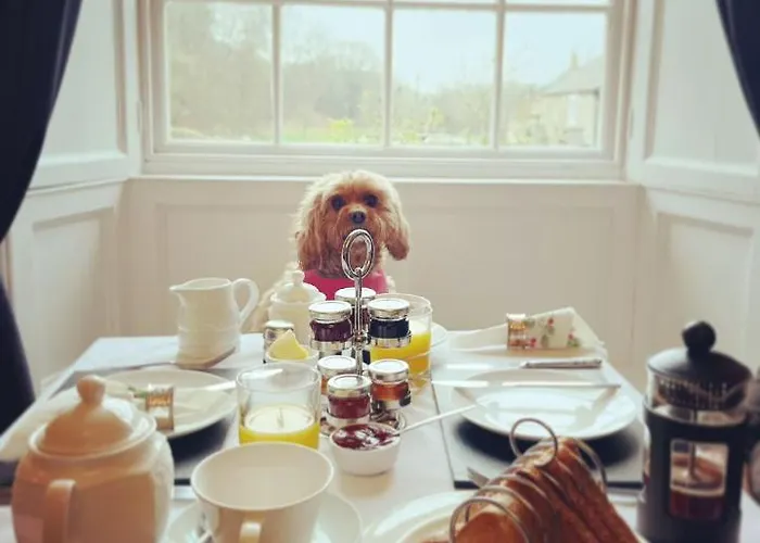 Burnley House Guest house