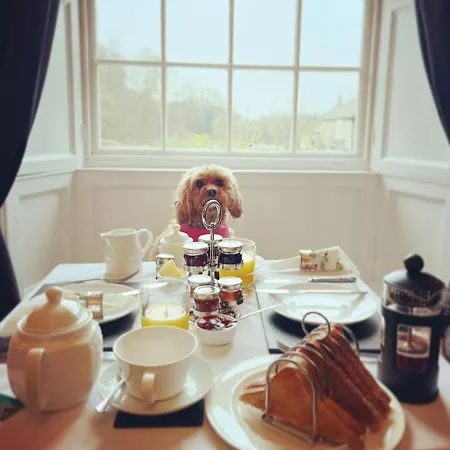 Burnley House ゲストハウス